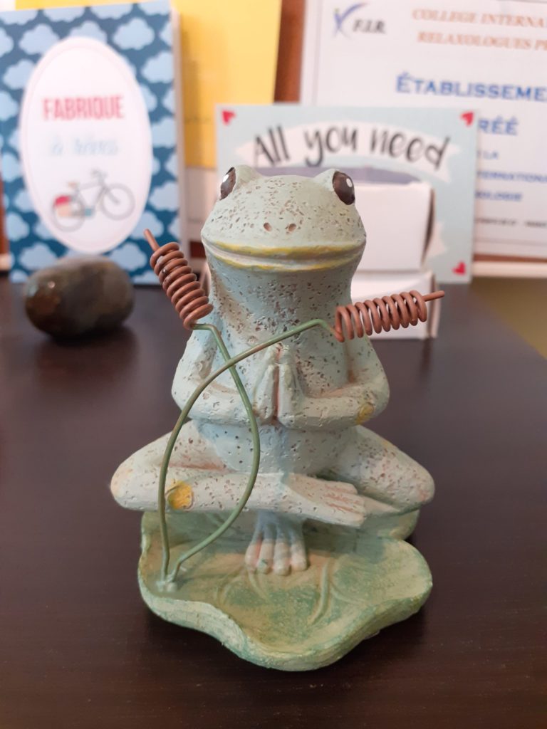 Grenouille décoration du cabinet d'Amandine Tudryn. Thérapie et Relaxologie à Cergy.